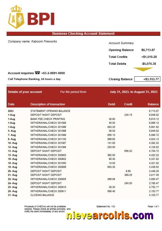Bank of the Philippine Islands business statement